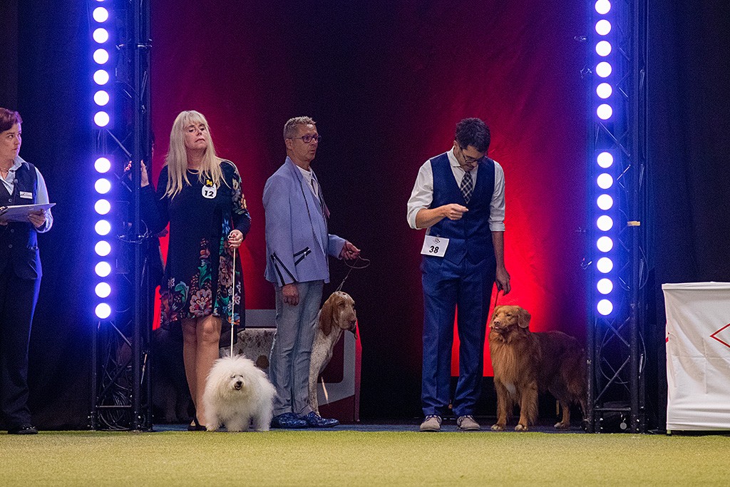 Edison steht zusammen mit dem Bichon Frisé am Eingang des Ehrenrings