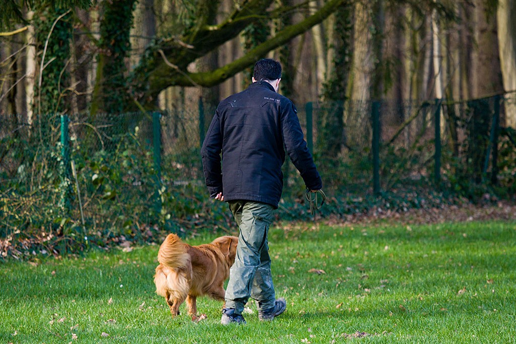 Edison geht in der Freifolge bei Fuß mit Stephan über den Hundeplatz