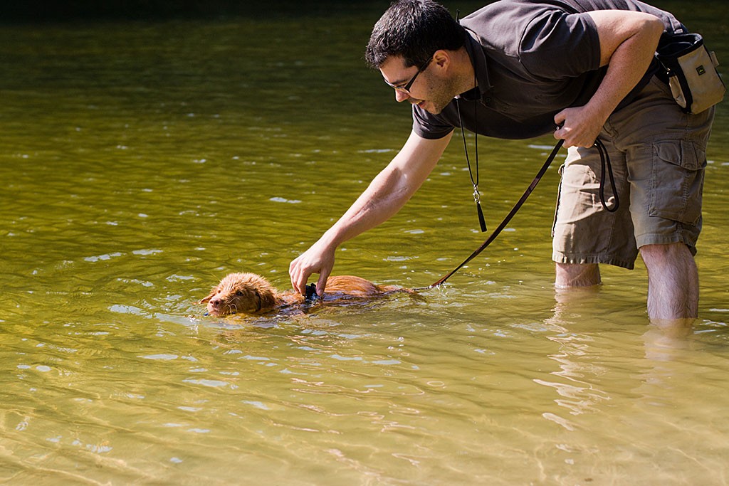 Edison schwimmt im See und Stephan hält ihn zur Sicherheit am Geschirr über Wasser